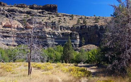 Alder Springs Hike photo taken near 
	Whychus Creek