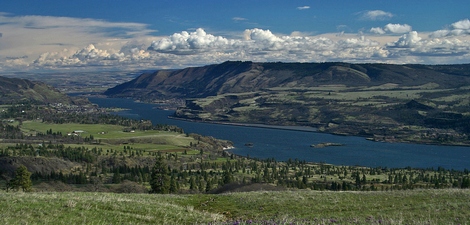 View looking east from the Major Creek - Catherine Creek Overlook trail