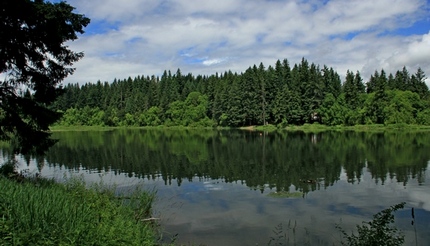 Looking across Lacamas Lake from the shoreline trail.