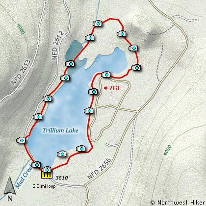 Trillium 2025 lake trail