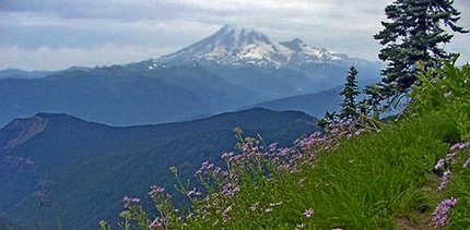 Mt Rainier from the Coal Creek Mountain trail in the Goat Rocks Wilderness