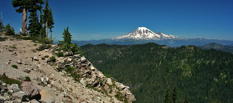 Mt Rainier as seen from the Lily Basin trail in the Goat Rocks Wilderness