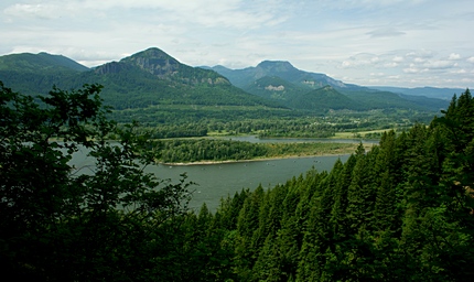 Looking northeast up the Columbia River Gorge from the McCord Creek Falls trail